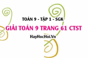 Giải Toán 9 trang 61 tập 1 Chân trời sáng tạo SGK